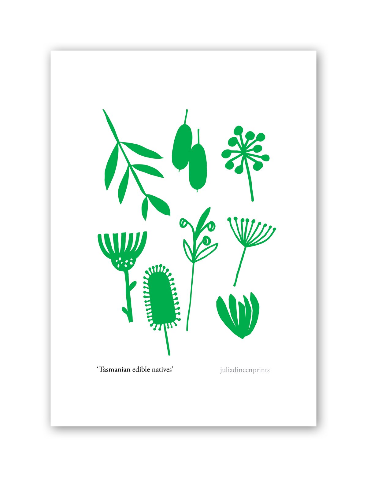 Tasmanian Edible Natives