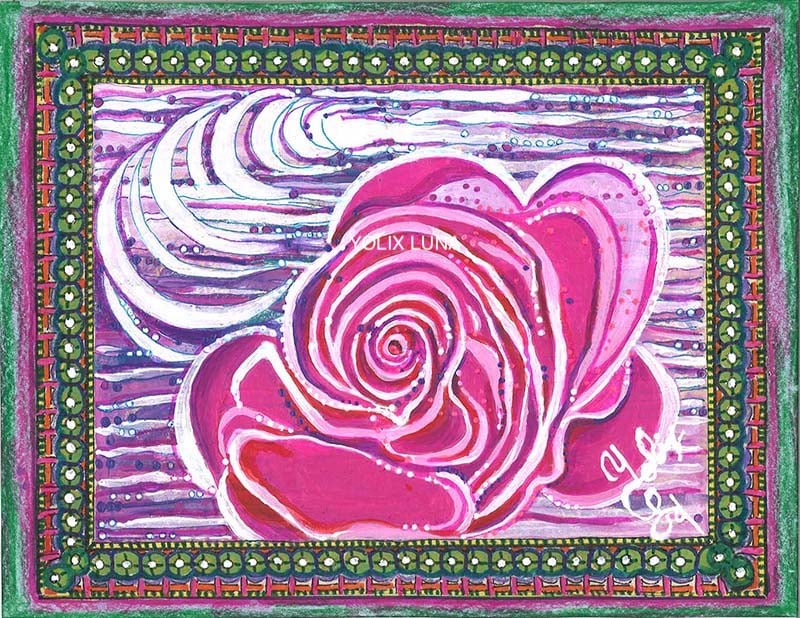 Rosa Valentina, love me, love me not..