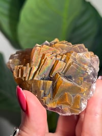 Image 8 of NATURAL RAINBOW IRIDESCENT CUBIC FLUORITE -CHINA- L