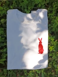 Image 3 of Rabbit: White - Red