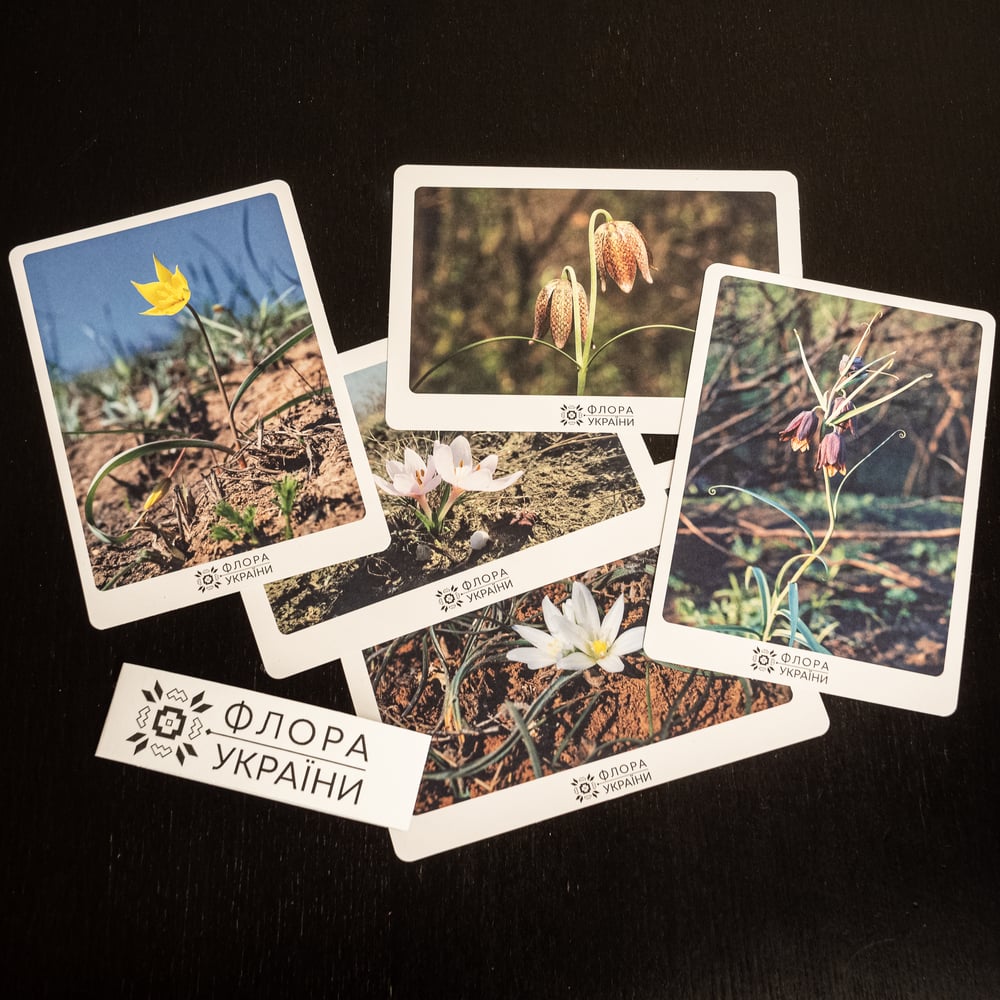 Image of Flora of Ukraine