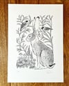 Print: Hare