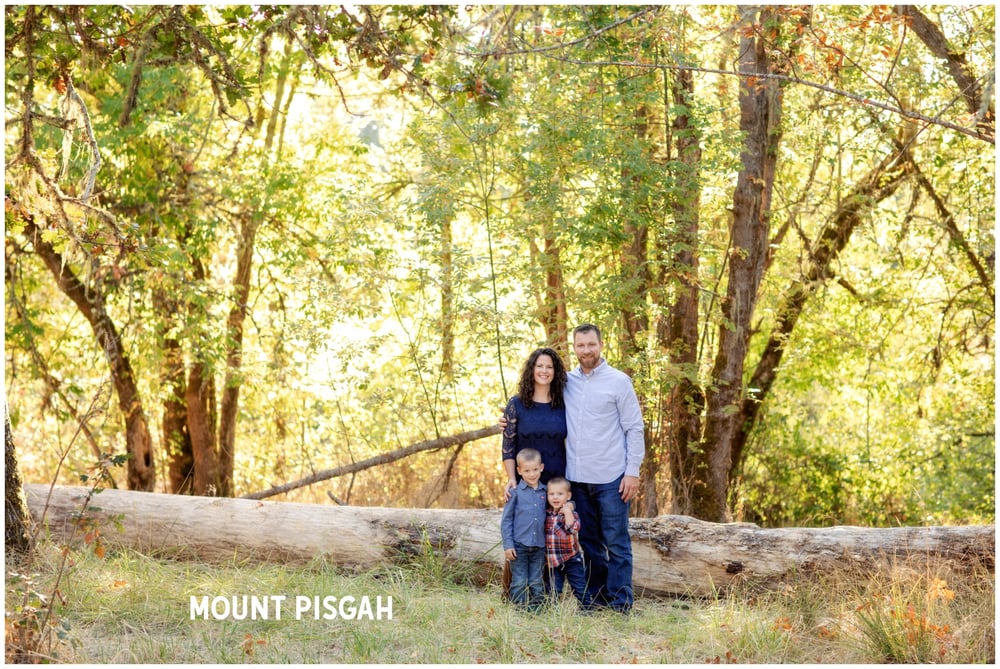Image of Family Mini Sessions 