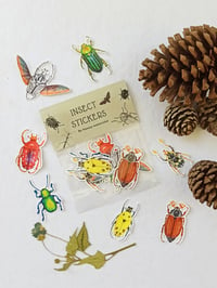 Image 1 of Beetle Sticker Set, 7 different Coleopteras.