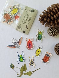 Image 3 of Beetle Sticker Set, 7 different Coleopteras.