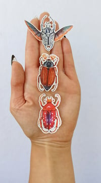 Image 4 of Beetle Sticker Set, 7 different Coleopteras.