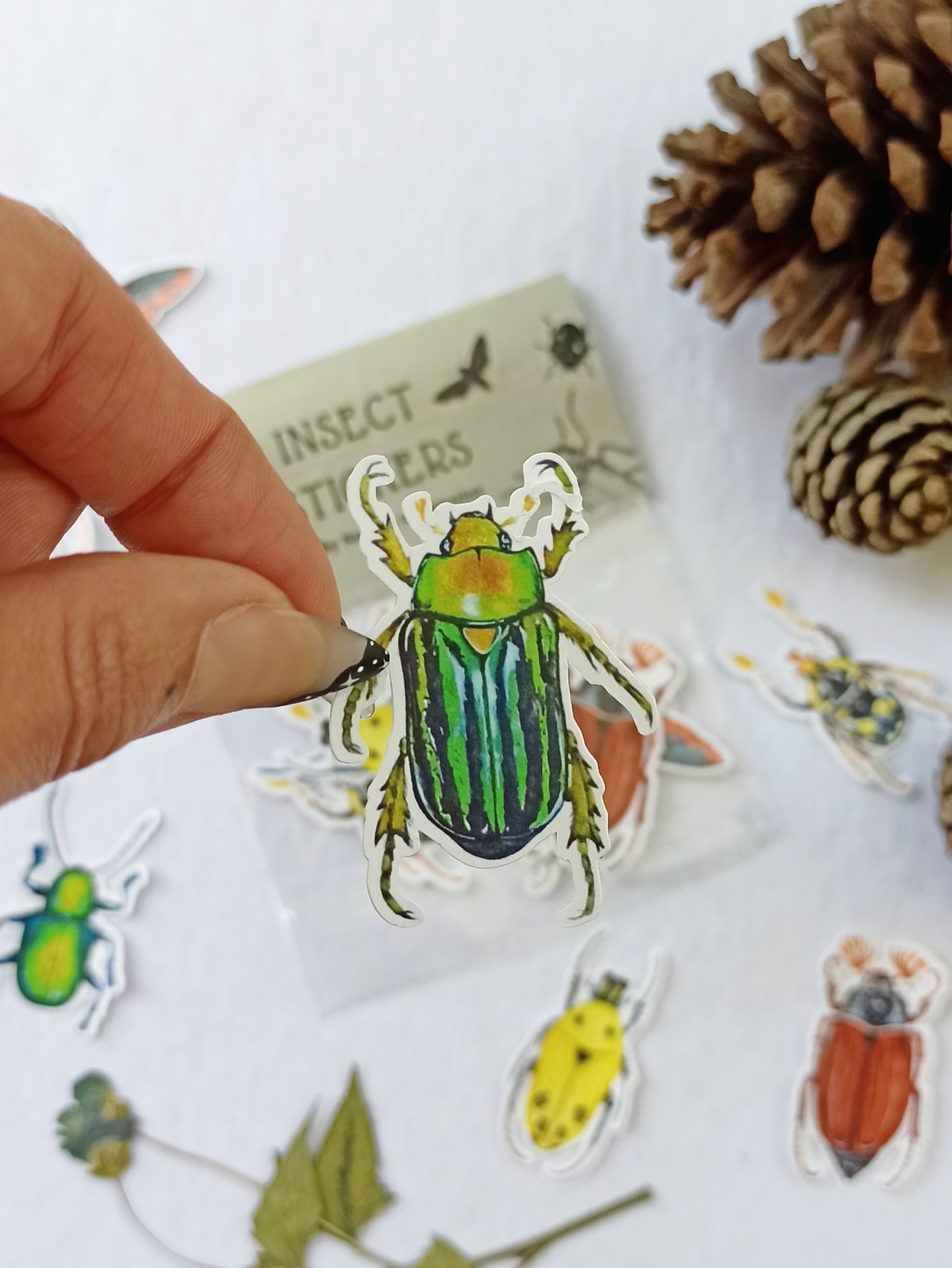 Image of Beetle Sticker Set, 7 different Coleopteras.