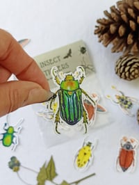 Image 5 of Beetle Sticker Set, 7 different Coleopteras.