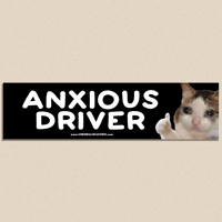 ANXIOUS DRIVER