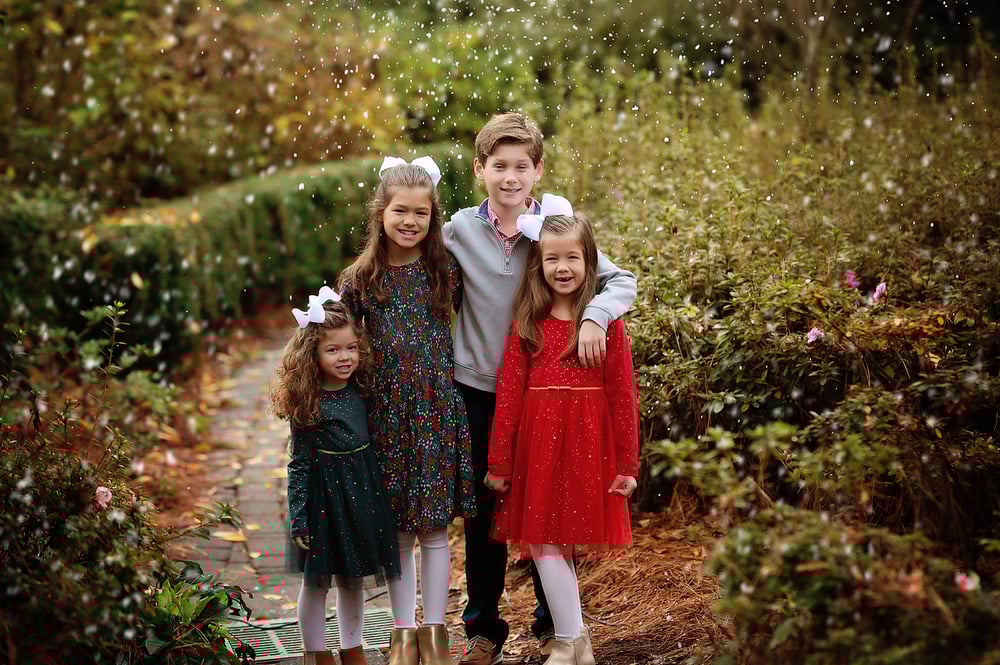 Image of November 22nd :  Winter Magic Snow and Lights Sessions ***$50 Due to Book Session***