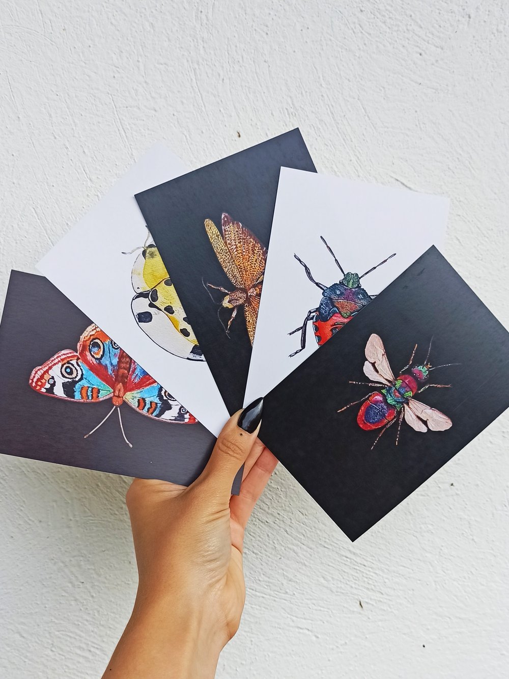 Image of Insect Postcard Sets n.2