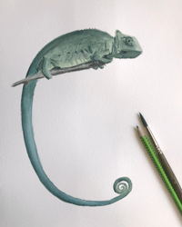 ACUARELAS PERSONALIZADAS