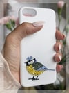 Nature Series: Blue Tit