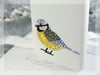 Nature Series: Blue Tit