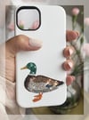Nature Series: Mallard Duck