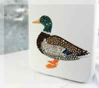 Image 5 of Nature Series: Mallard Duck