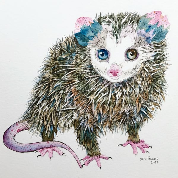 Image of Opossum Joey