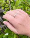 Dot Ring