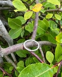 Dot Ring