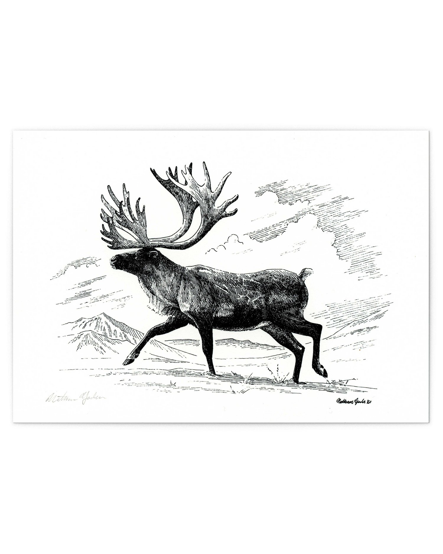 Caribou, Signed Fine Art Print