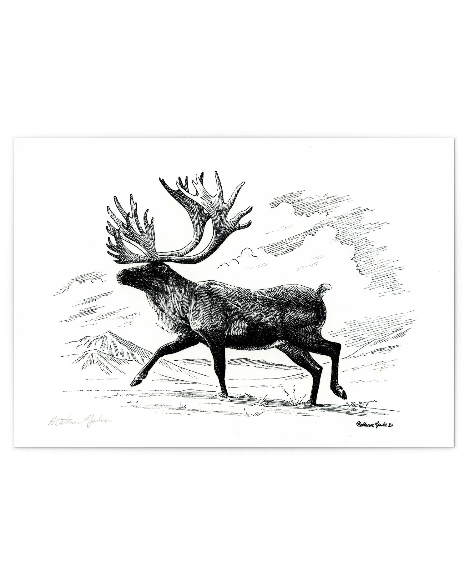 CARIBOU, Signed Fine Art Print