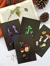 Image 1 of Mushroom Postcard Set 