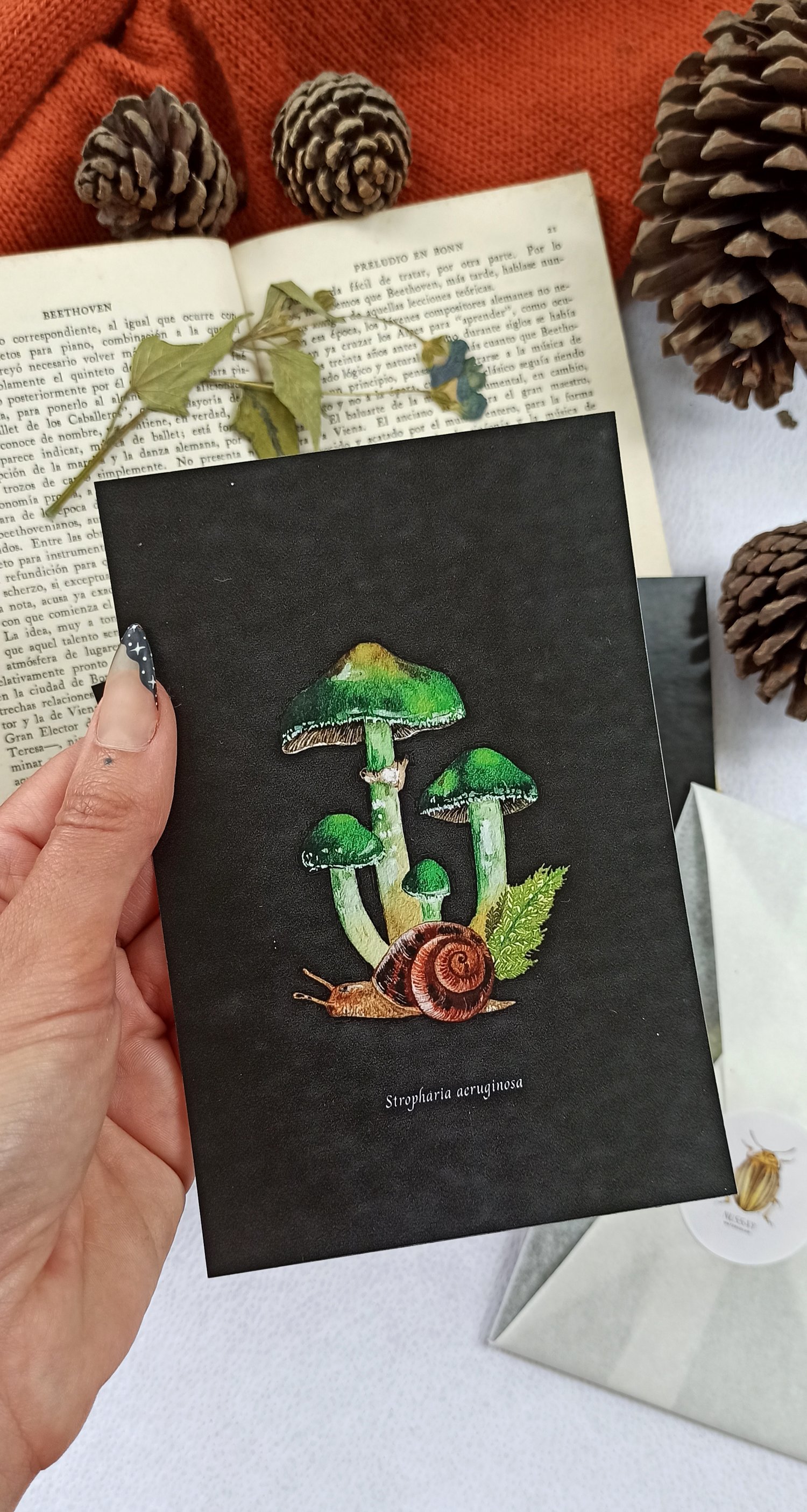 Image of Mushroom Postcard Set 