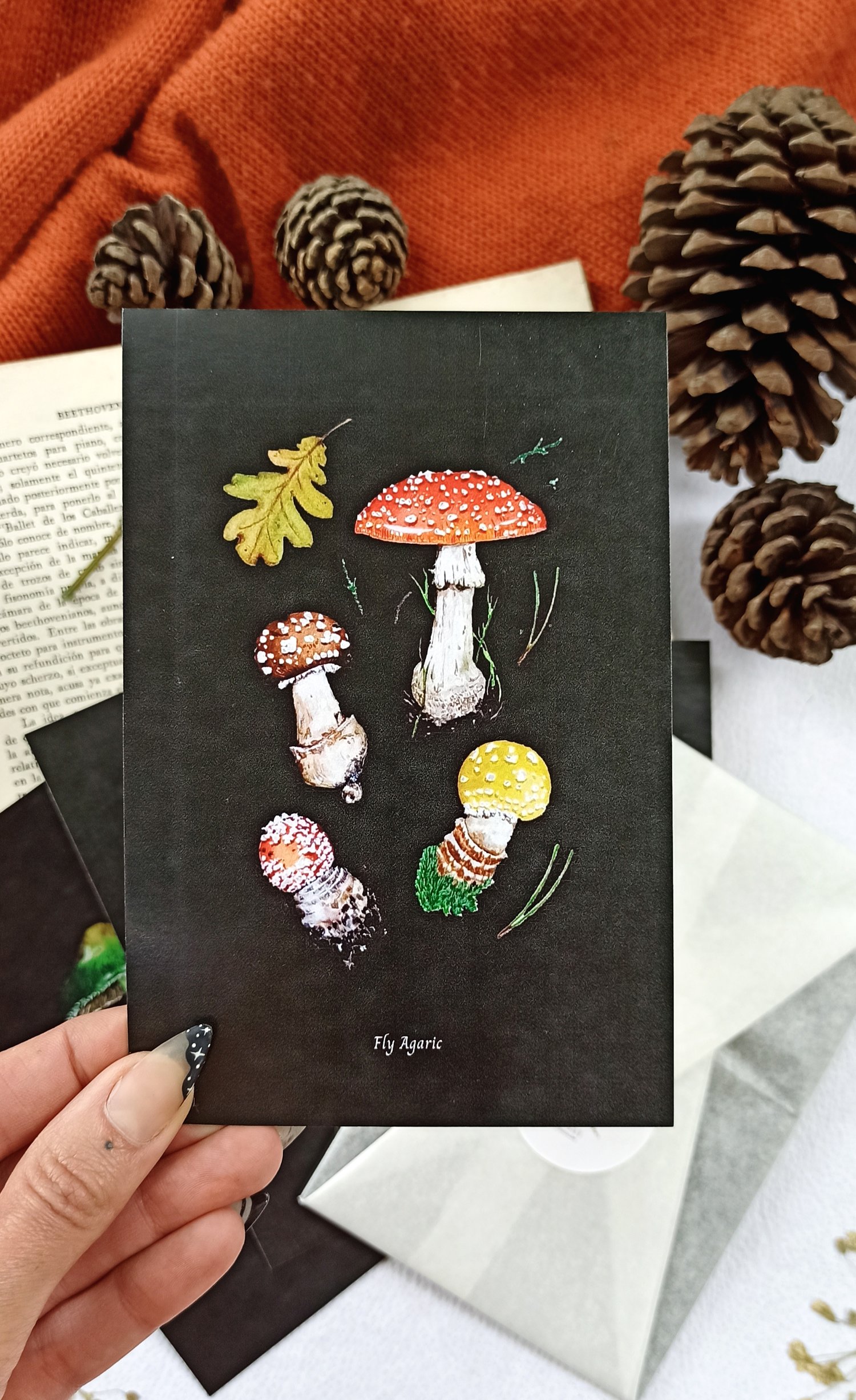 Image of Mushroom Postcard Set 
