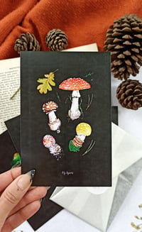 Image 5 of Mushroom Postcard Set 