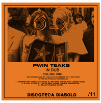 LIMITED 11 PWIN ▲▲ TEAKS - THE RETURN (Pwin Teaks in Dub Vol. 1) CDR Design B