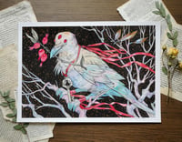 Image 1 of Print Raven Albino