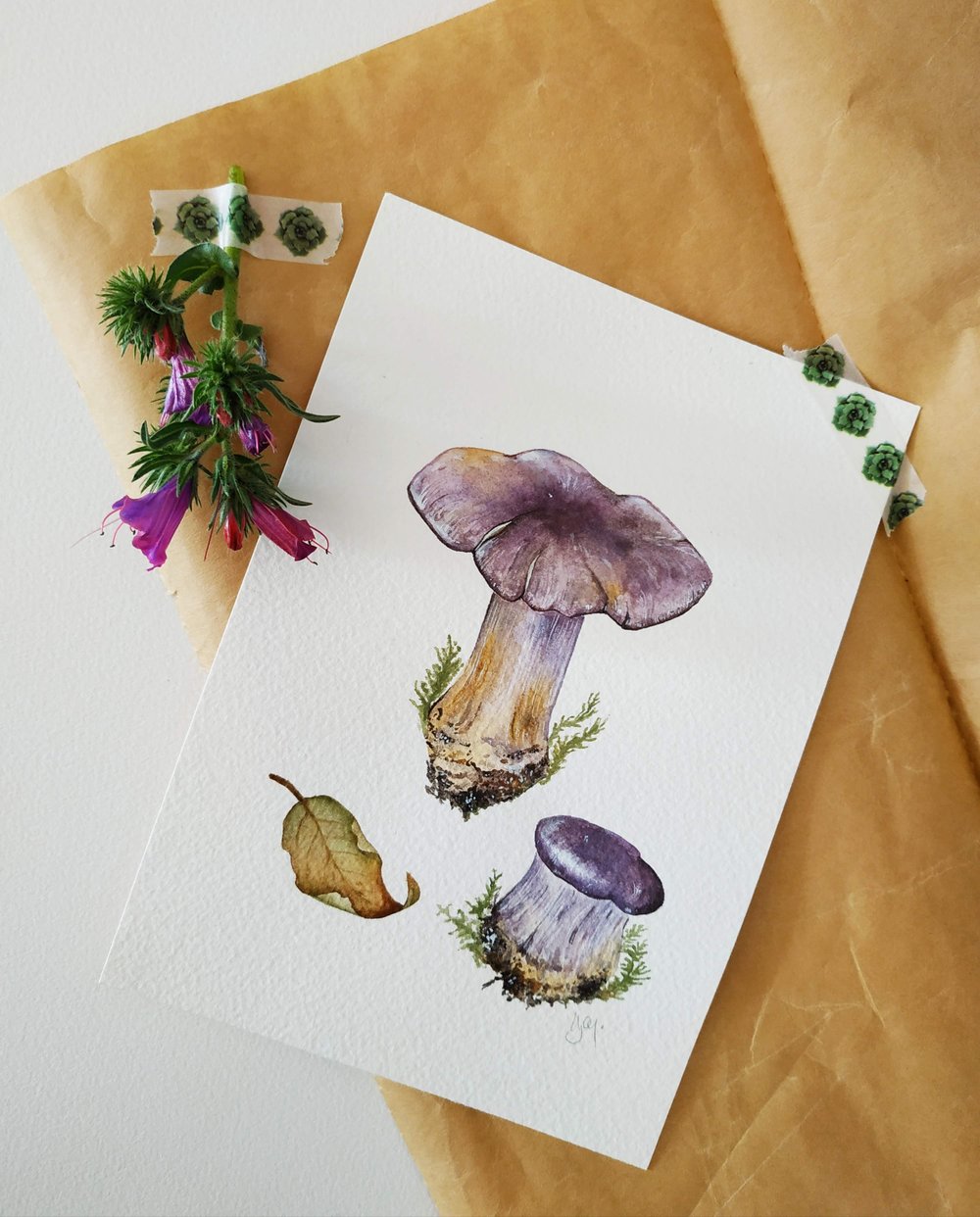 Image of Cortinarius Violaceous Watercolor Illustration, Mushroom Painting, ORIGINAL ILLUSTRATION