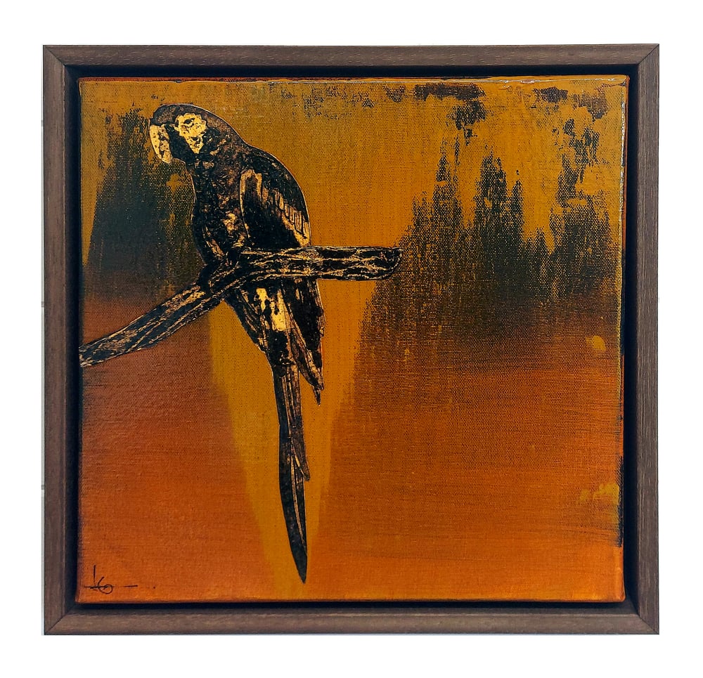 Image of Original Canvas - Macaw - 12" x 12"