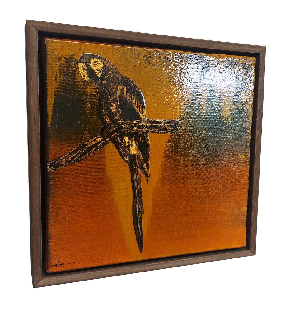 Image of Original Canvas - Macaw - 12" x 12"