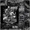 BASHED IN - PUNISHMENT [CD]