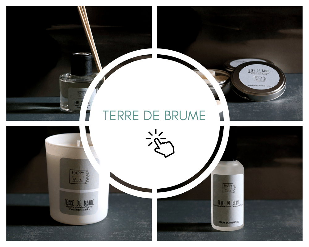 Image of COLLECTION TERRE DE BRUME