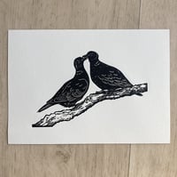 Image 2 of Love Doves