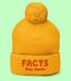 Image of FACTS Yes, facts.  Pom-Pom Hat