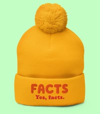 Image 2 of FACTS Yes, facts.  Pom-Pom Hat