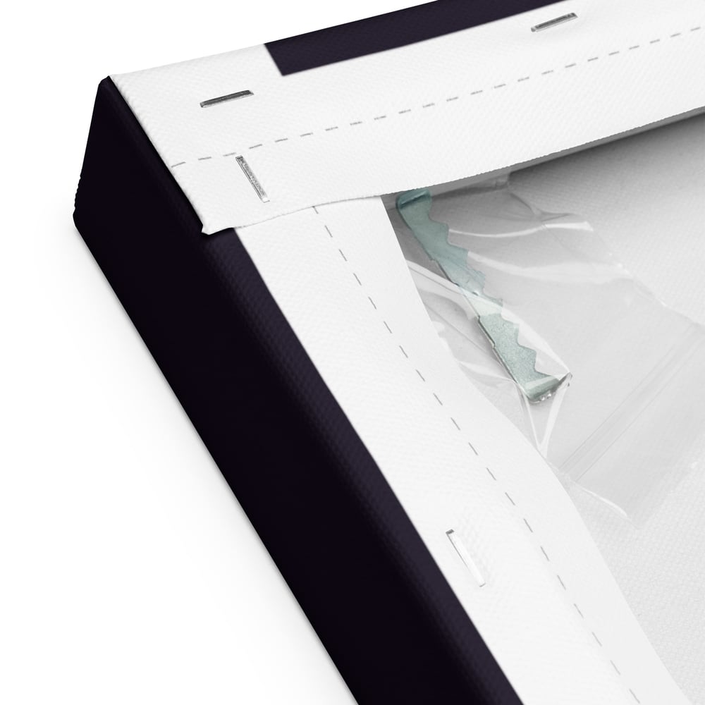 Image of ||| CANVAS PRINT - RIGHT HALF ||| - "We'll See How Long the Universe Enjoys this Patch Job"