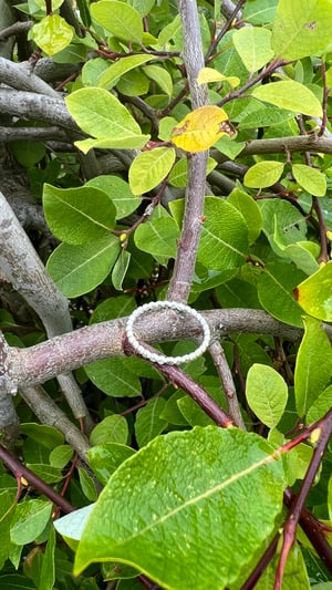 Image of Chunky Choker