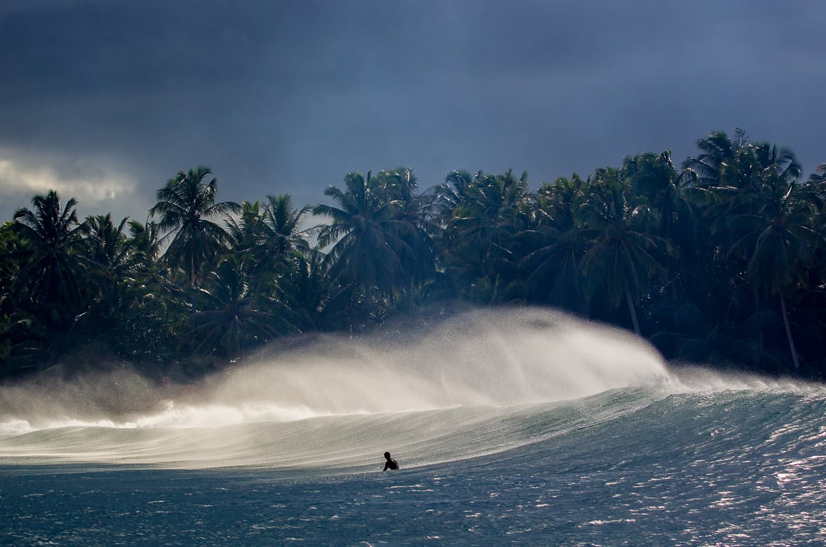 Image of The Backdrop