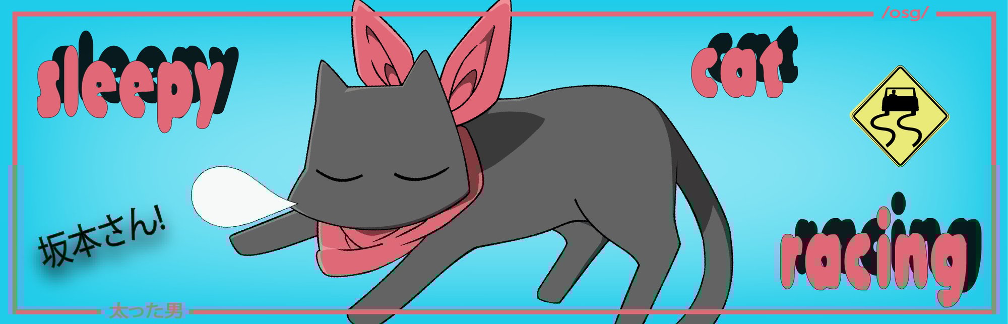 Image of sleepycatracing (pre-order)