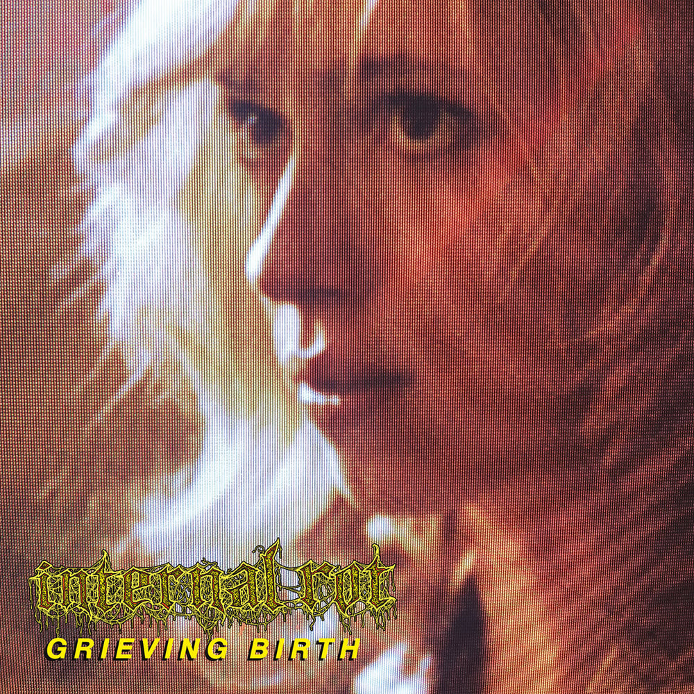 Image of INTERNAL ROT - Grieving Birth LP