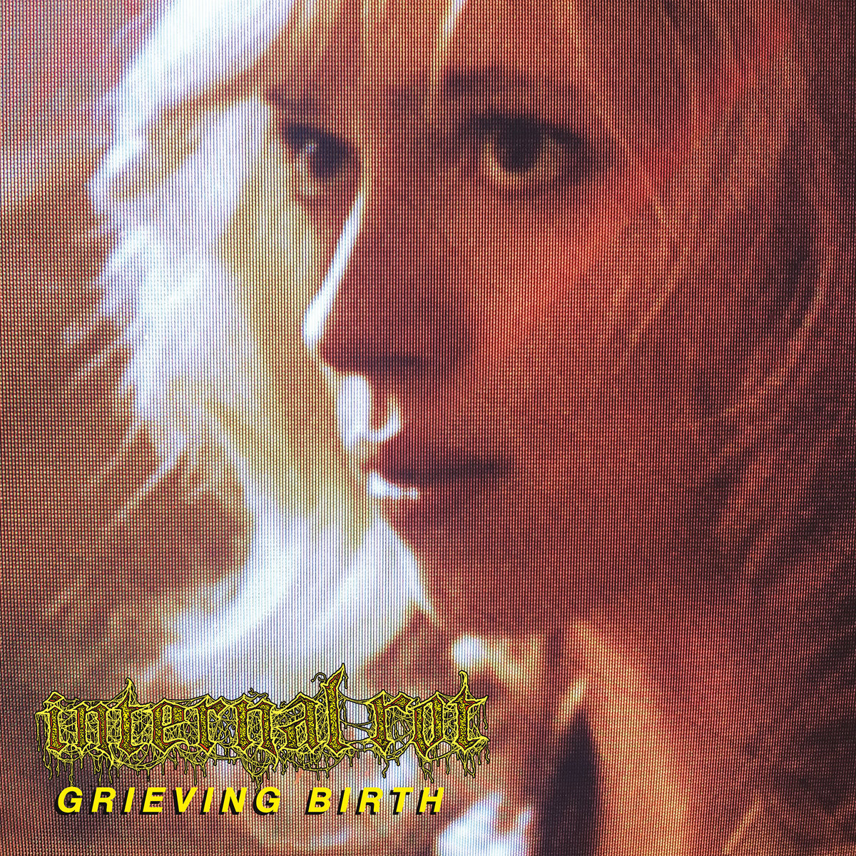 Image of INTERNAL ROT - Grieving Birth LP