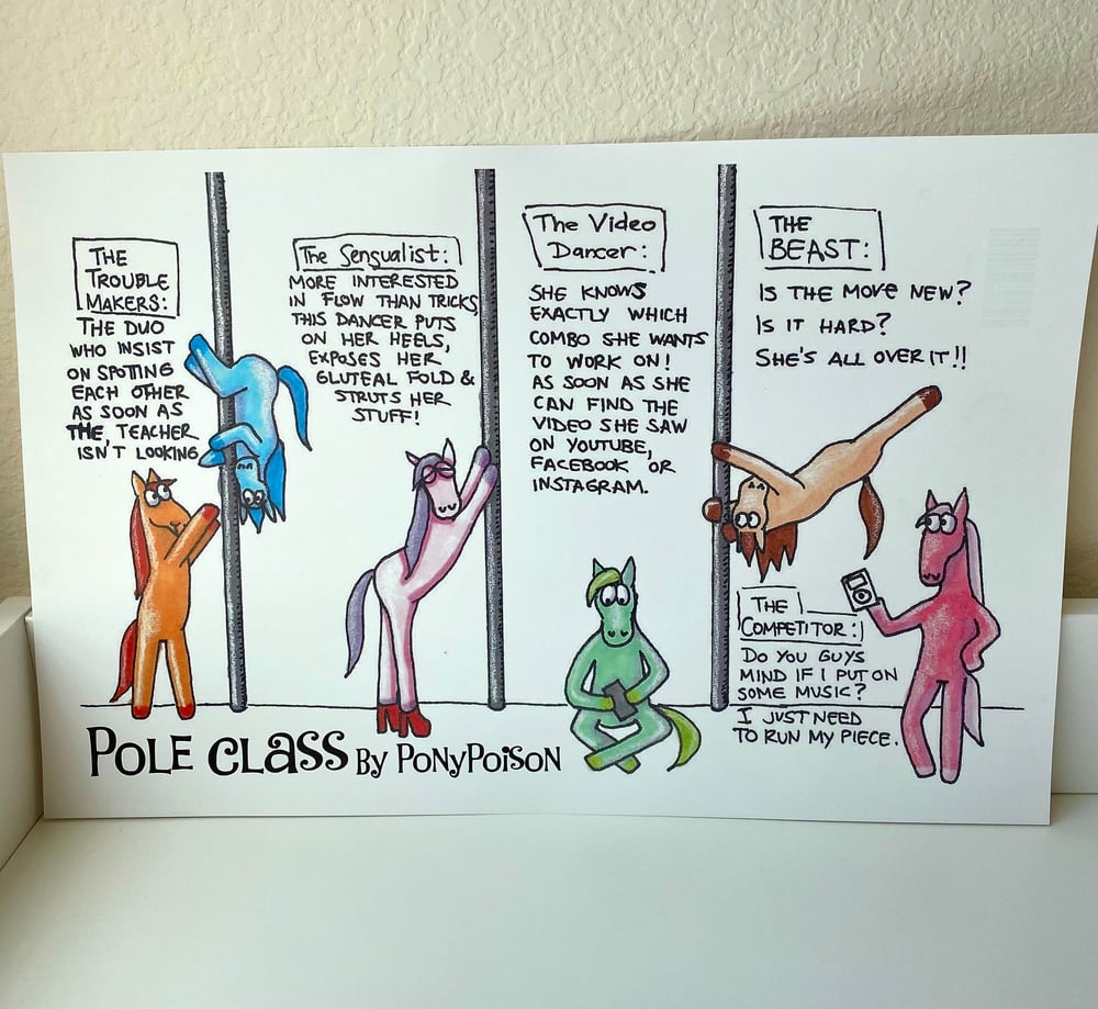 Image of PonyPoisonMemes "A Typical Day in Pole Class" Poster