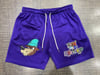 Rich and Rebellious NBA inspired mesh shorts