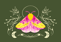 Image 3 of Rosy Maple Moth Shiny Vinyl Sticker