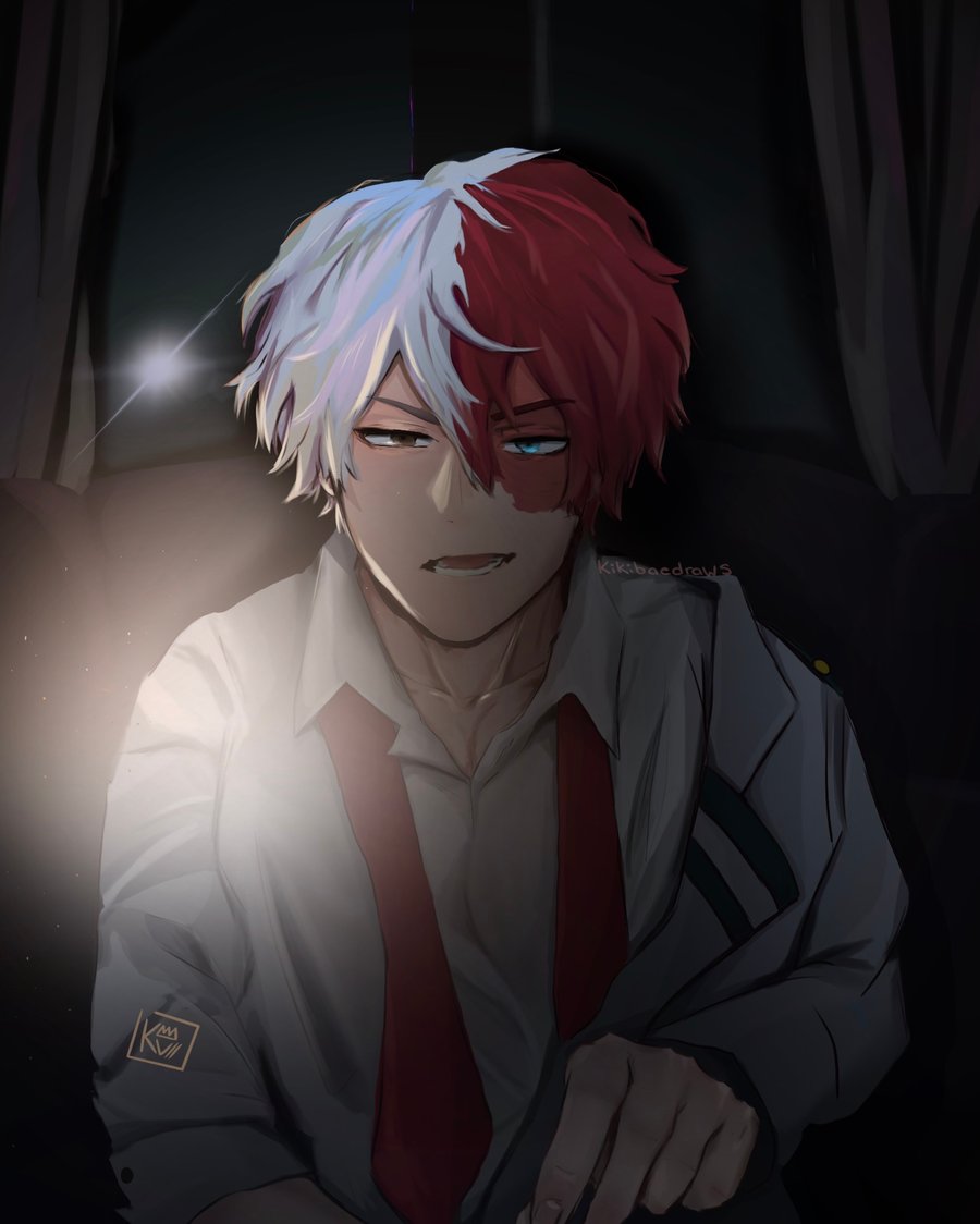 Image of MHA SHOTO TODOROKI