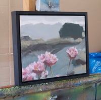 Image 3 of Sea Thrift - Framed Original